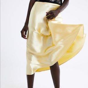 Zara Satin Skirt NWT